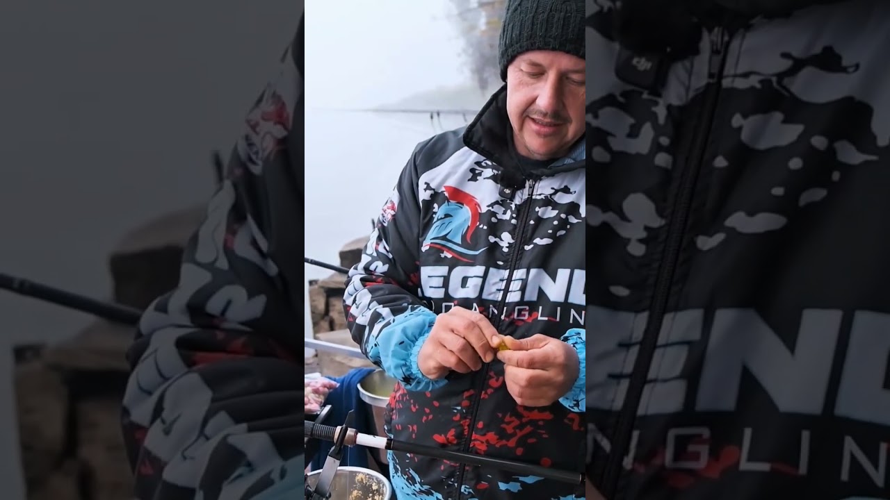 VAALRIVER BAIT PRESENTATION #fishing #carpfishing #carp