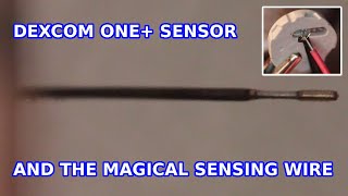 Dexcom ONE+ CGM glucose sensor teardown