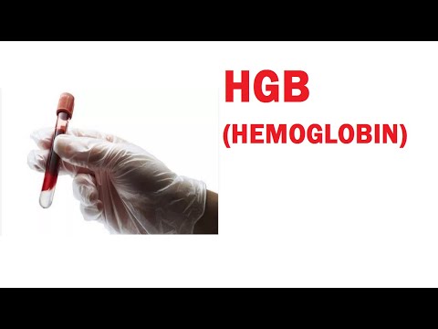 Video: Plazmada hemoglobin varmı?