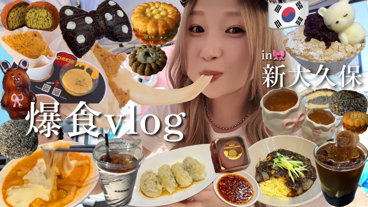 【爆食vlog】新大久保食べ歩き🇰🇷🎀最新の韓国グルメを食べ尽くす!!