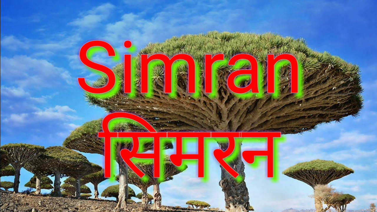 सिमरन नाम का अर्थ / Simran ka Arth / Simran Naam ka matlab