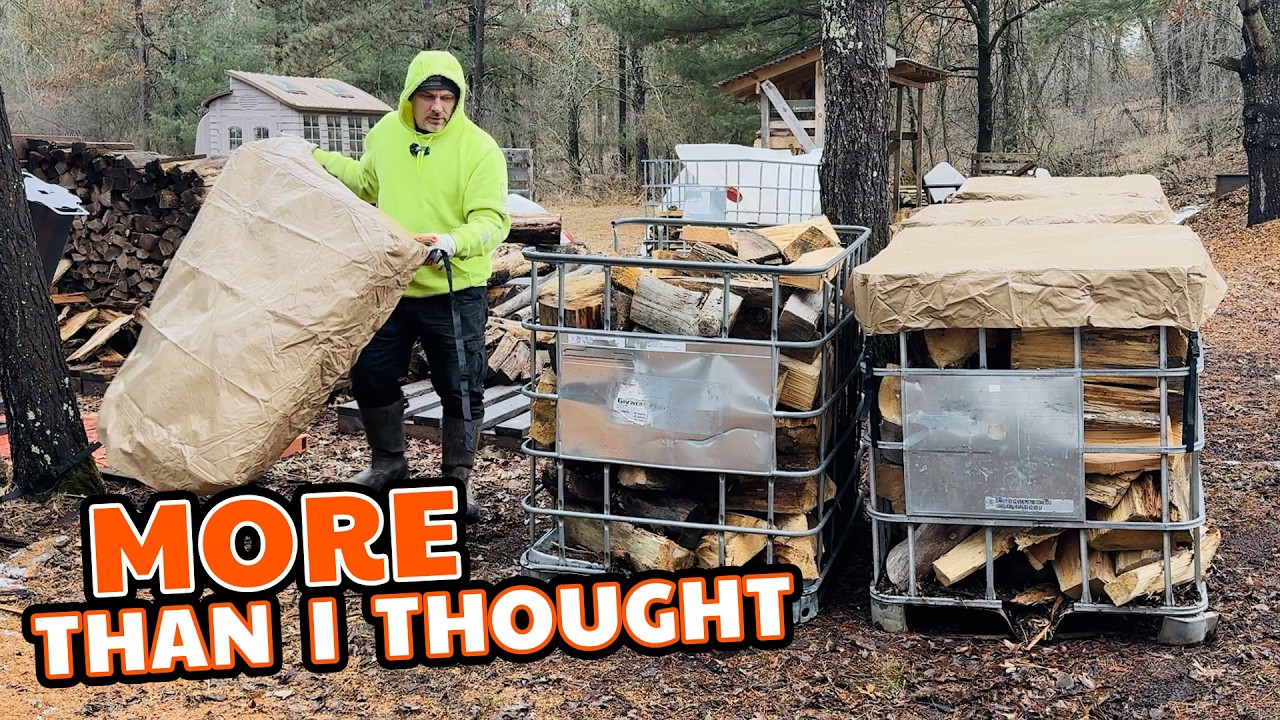 Сегодняшний день в Вудъярде прошёл не совсем так, как планировалось, — но всё же всё получилось.