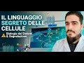 Biologia Irragionevole: Trasduzione del Segnale, Recettori e Dinamiche Temporali