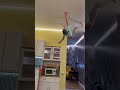 Bit by spider can walk on walls short shorts funny