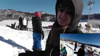 Pagosa Springs - Dog Sledding - 12/28/2016