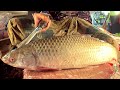 Amazing Fish Cutting Skill || Mrigal Fish Cutting By Expert Fish Cutter