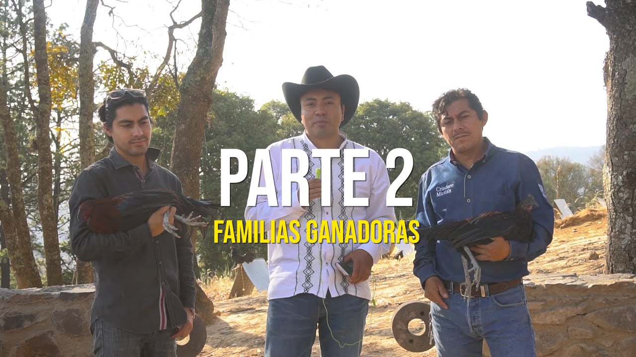 Criadero Mictlán| Genética| Segunda parte