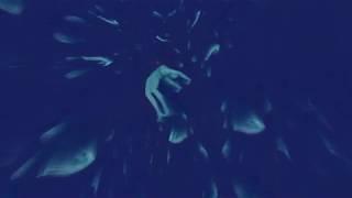 Synes - Mosaic Video By Xydamage