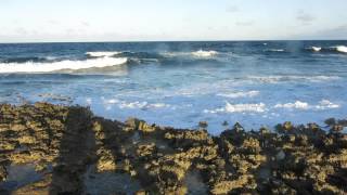 east side Bonaire