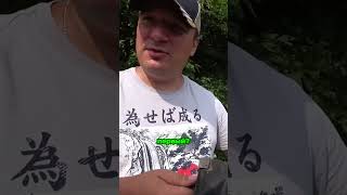 TG: nexpertGM ЧТО ТУТ НЕ ТАК?  #shorts #независимыйэксперт #георгиймедведев