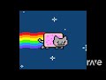 Nyantera  cat from hell