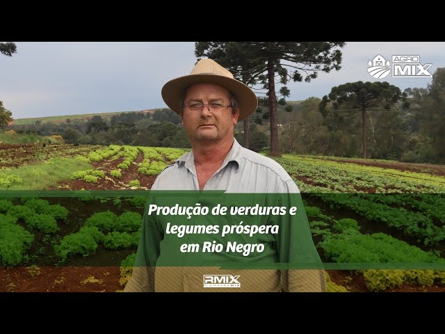 AgroMix: Produção de verduras e legumes próspera em Rio Negro