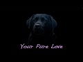 Your Pure Love (Original Song)