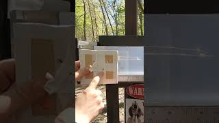 The MOST IMPRESSIVE .22 LR Defensive Ammunition - Federal Punch (VS .380 ACP) Gel Test