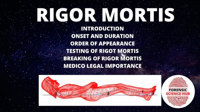 Human Algor Mortis human-algor-mortis