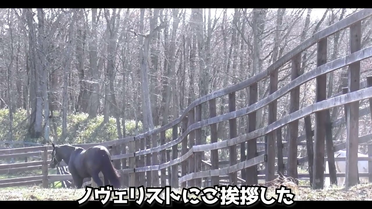 エイシンフラッシュの動画 - YouTube