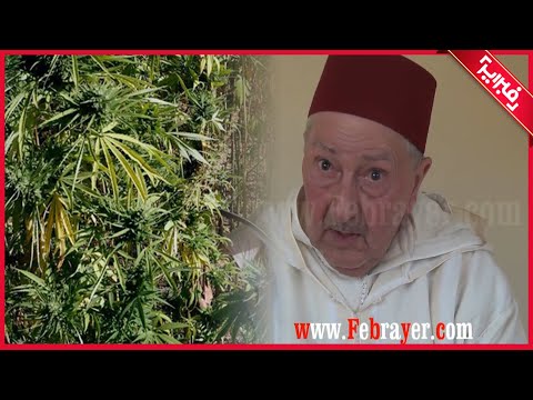 أشهر أعيان كتامة الآية التي تؤكد أن الك يف ليس حر ام وأنا حجيت بفلوسها