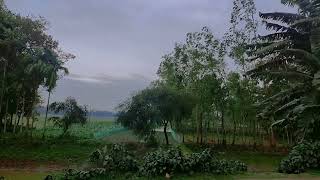 Rain short status video। Beauty of nature 💚 #nature #rain #PeacePoint screenshot 5