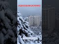 بارش برف زیبا در ولنجک تهران