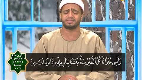 الروضة الصباحية | سورة يوسف من الاية 30 الي الاية 57 | الشيخ محمود شلاطه | ح239