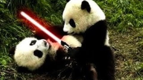 Clean memes I found in my backyard