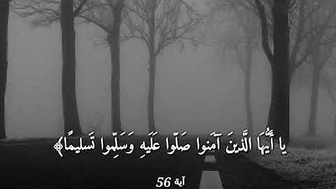 قرآن كريم بصوت القارئ- سعد الغامدي -- أجمل حالات واتس اب دينيه -- تلاوة خاشعة 🌿