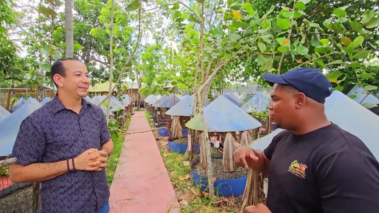 RECORRIDO POR LA GALLERIA DEL DOCTOR CABRERA EN VILLA TAPIA [ SALCEDO ] DISFRUTEN DEL CONTENIDO.