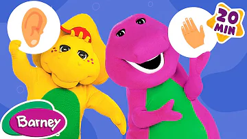 The Five Senses Song + More Barney Nursery Rhymes and Kids Songs