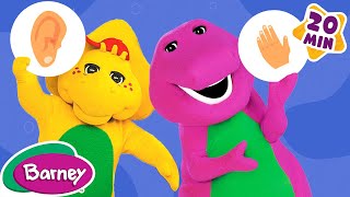 The Five Senses Song   More Barney Nursery Rhymes and Kids Songs