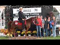 The biggest horse show of the year mfthba fall show and celebration 2022