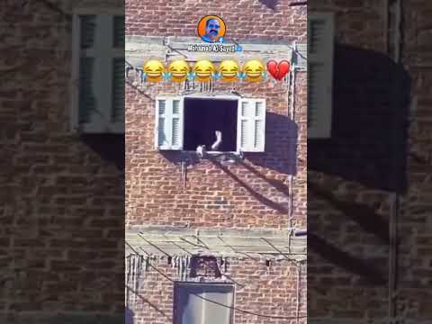 الواحد واقف في البلكونه في امان الله لقي فخدتين طلعين من الشباك منتشر الشعب الصيني ماله حل