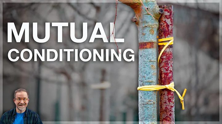 Decoding the Buddha's Most Puzzling Teaching