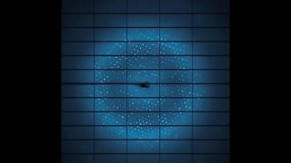 An X-ray diffraction dataset from a protein crystal.