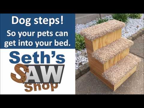dog-steps