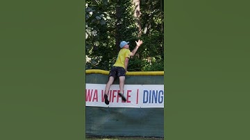 Filmed the Outfield Wall Just in Case🤯 #dingersornothing #wiffleball #baseball #shorts