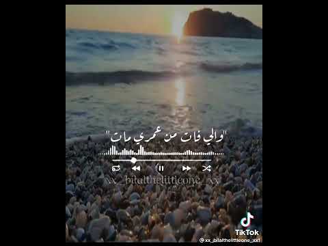 نفسي اشوف نفسي في عنيك اني انا صعبان عليك حالات واتس حزينه