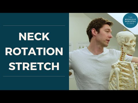 Neck Joint Rotation Neck Rotation Muscles Stretch
