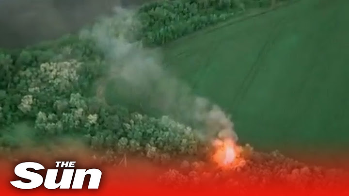 Ukrainian troops blow up Russian soldiers hiding in vegetation