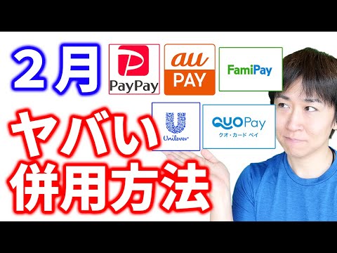 【2月お得併用の技まとめ】コード決済の10%～30%還元と商品応募キャンペーンを併用して還元率を跳ね上げる方法