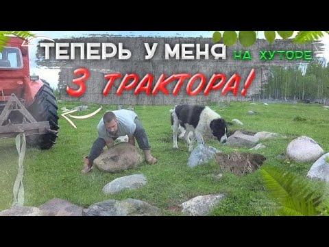 В последние годы злодеям везет 21. Курица на тракторе. Куриный трактор. Утка на тракторе.