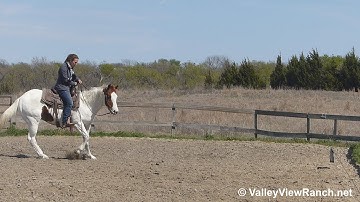 CW Flashy Painted Jac - working the flag! - ValleyViewRanch.net