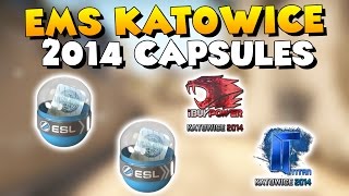 CS:GO - Unboxing EMS Katowice 2014 Capsules - iBuyPower & Titan Holo Dream!