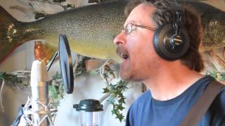 Bob Dylan, You Ain&#39;t Going Nowhere - covered by Mark Barnes