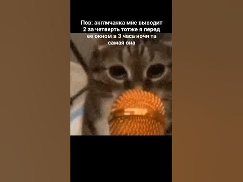Раша америка параша - YouTube