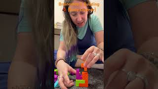 Play with Brainometry Puzzle Set