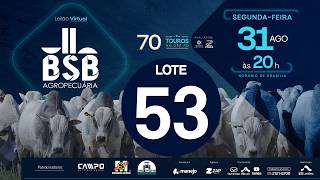 53 - LEILÃO VIRTUAL GENÉTICA TOUROS BSB AGROPECUÁRIA 31/08/2026