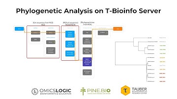 Phylogenetic Analysis on T-Bioinfo Server - No coding needed!