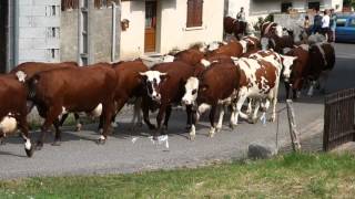 Les Bauges, montée vers l'Arclusaz