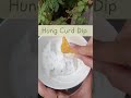 Hung Curd Dip Home Made Dip Quick Recipe Hung Curd Dip Home Made Dip Quick Recipe