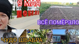 ВЛОГ/МОРОЗ В МАЕ ПОБИЛ РАСТЕНИЯ/ДЕНЬ ПОБЕДЫ 9 МАЯ/КУПИЛА ЧУДО ШВАБРУ/ПОКУПКИ